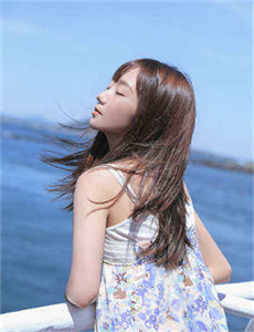 电视剧野鸭子全集